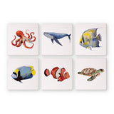 Marine Creatures Mini Paint by Numbers Kit finished mini canvas from Creative Vibes