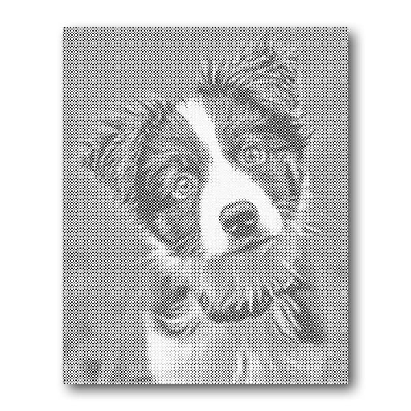 Border Collie Portrait Dot Painting Kit finished canvas from Creative Vibes – Creative Vibes Dubai