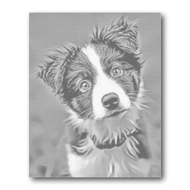 Border Collie Portrait Dot Painting Kit finished canvas from Creative Vibes