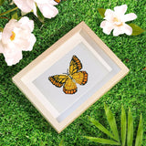 Butterfly No.2 Diamond Painting Kit detail