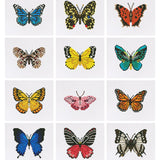 Butterfly No.2 Diamond Painting Kit