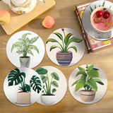 Potted plants coasters on table