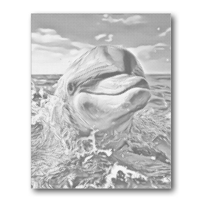 Dolphin Splash Dot Painting Kit finished canvas from Creative Vibes