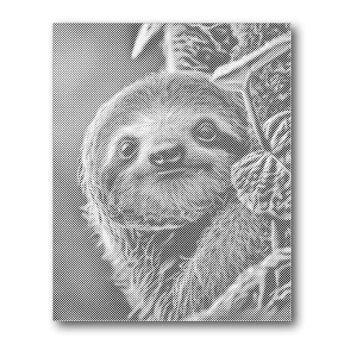 Sloth Portrait dot painting kit