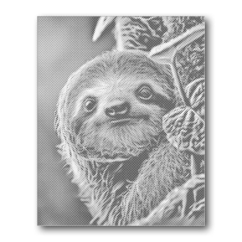 Sloth Portrait dot painting kit