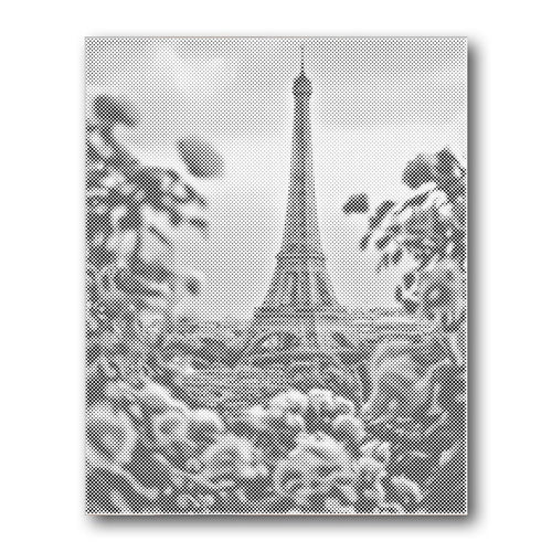 Eiffel Tower Paris Flowers dot painting kit