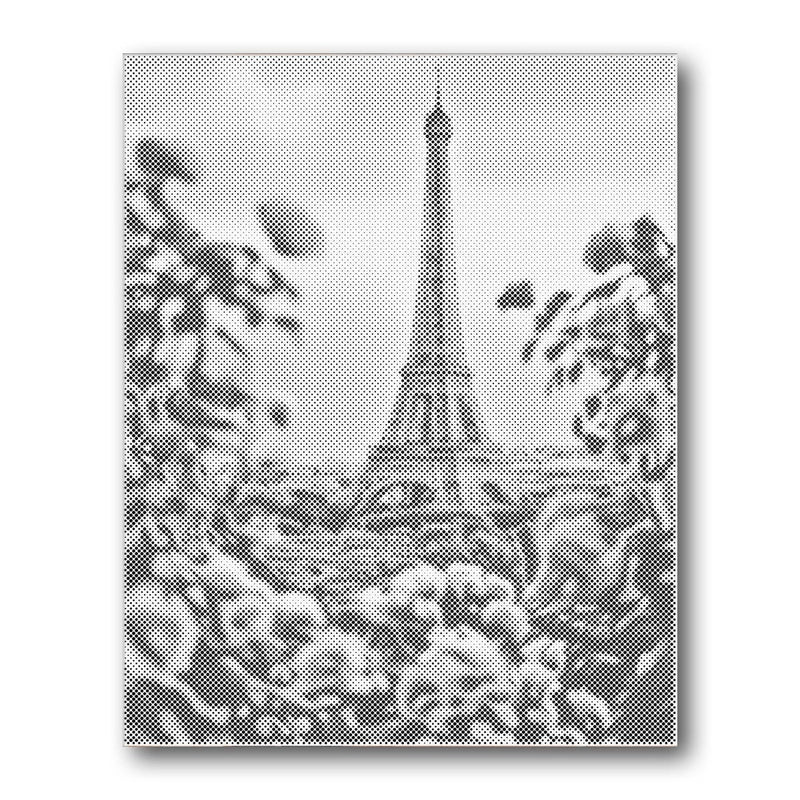 Eiffel Tower Paris Flowers dot painting kit