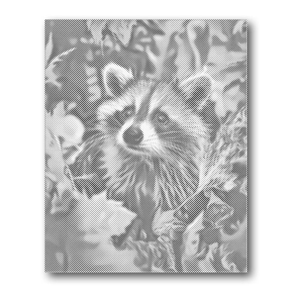 Raccoon Peeking dot painting kit – Creative Vibes Dubai