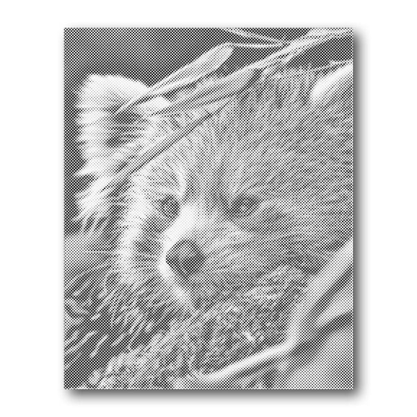 Red Panda Profile dot painting kit – Creative Vibes Dubai