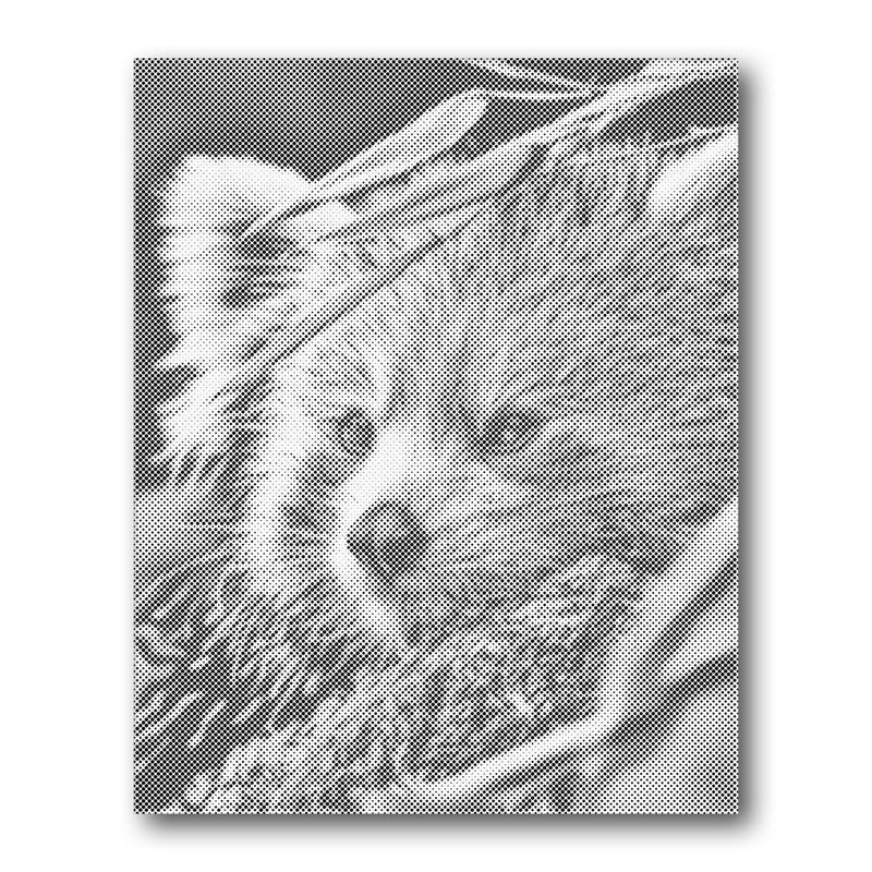 Red Panda Profile dot painting kit