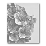 Hydrangea Leaves Detail Dot Painting Kit finished canvas from Creative Vibes