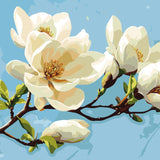 White Magnolia On Blue paint by numbers kit painting view