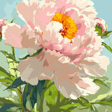 Soft Pink Peony Close Up painting view