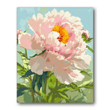 Soft Pink Peony Close Up paint by numbers kit – finished artwork