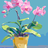 Pink Orchid In Pot painting view