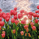 Red Tulips By Lakeside painting view