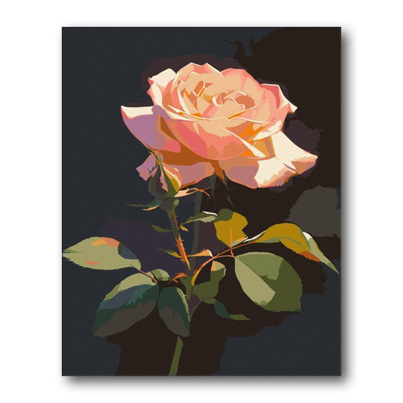 Dark Rose On Black paint by numbers kit – finished artwork