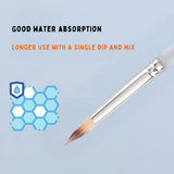 Pro paint brush set with good water absorption per dip