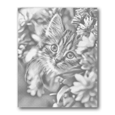 Kitten in Flowers Dot Painting Kit finished canvas from Creative Vibes
