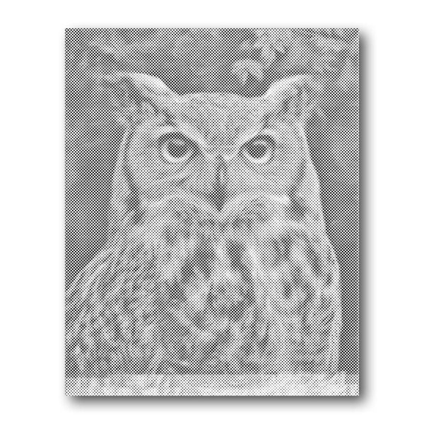 Owl Portrait Dot Painting Kit finished canvas from Creative Vibes