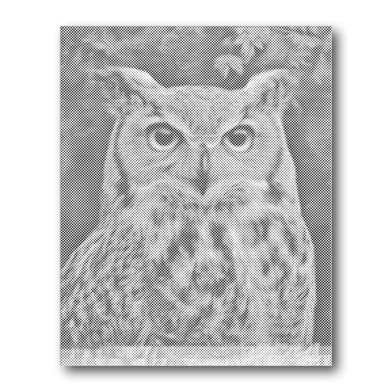Owl Portrait Dot Painting Kit finished canvas from Creative Vibes