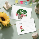 Potted plants postcard kit full collection view