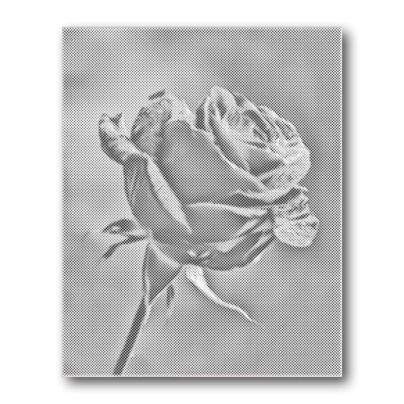 Rose Stem Closeup Dot Painting Kit finished canvas from Creative Vibes
