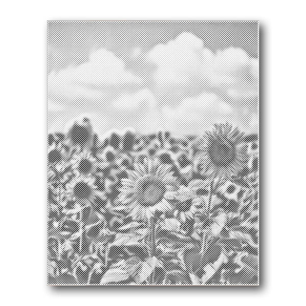 Sunflower Field Cloud Dot Painting Kit finished canvas from Creative Vibes – Creative Vibes Dubai